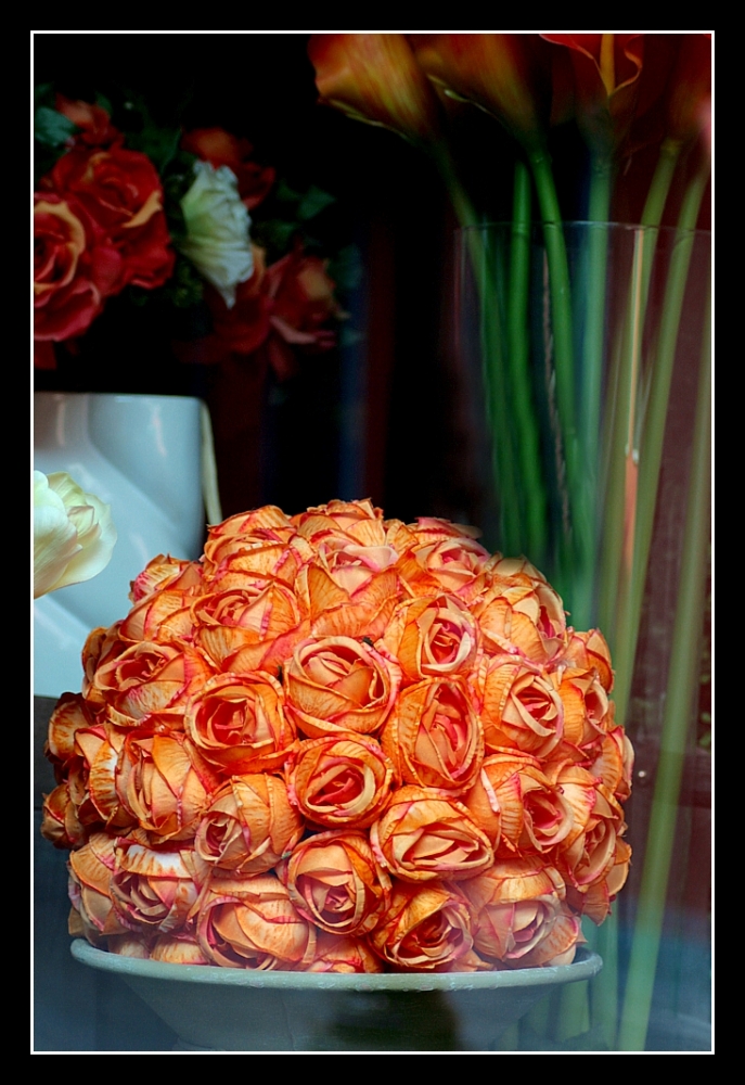 le rose nel pallone le rose nel pallone