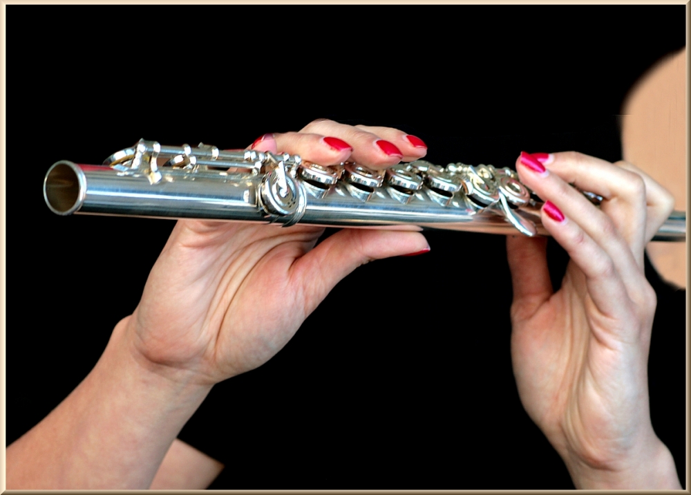 fingerMusic.2 fingerMusic.2
