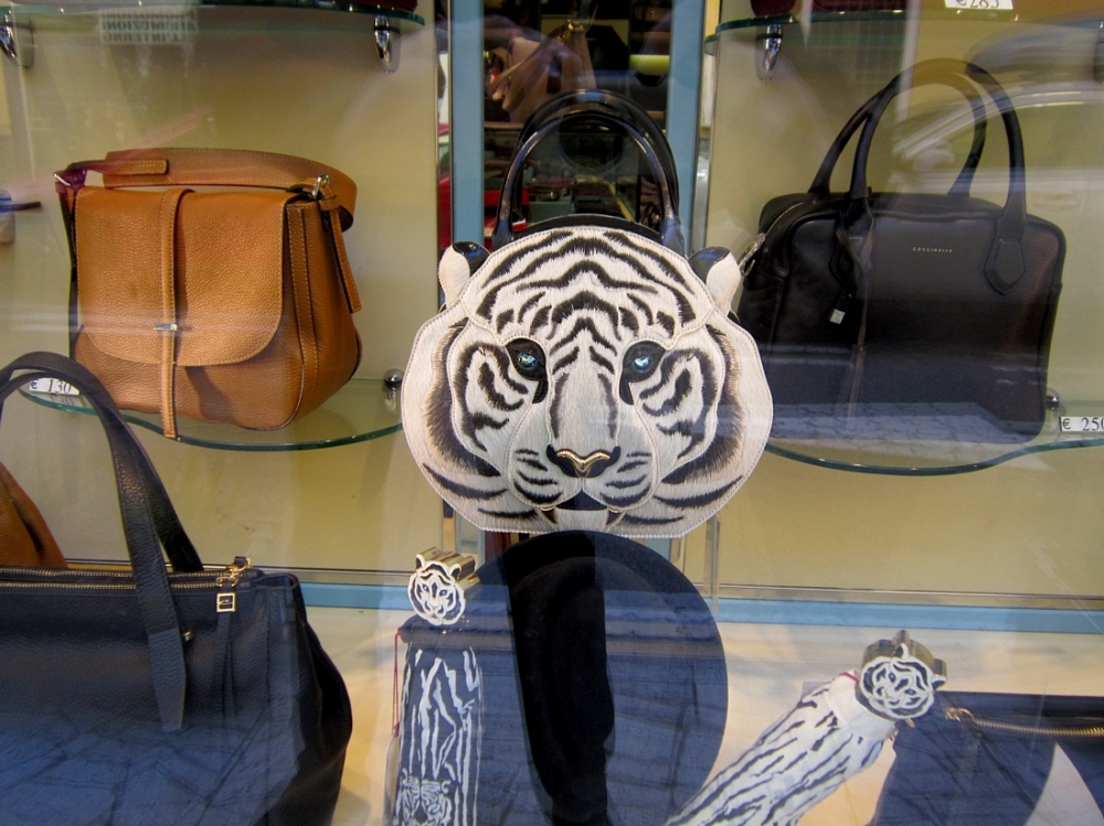 la tigre nella borsetta.1 la tigre nella borsetta.1