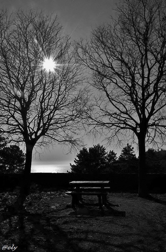 Controluce Controluce