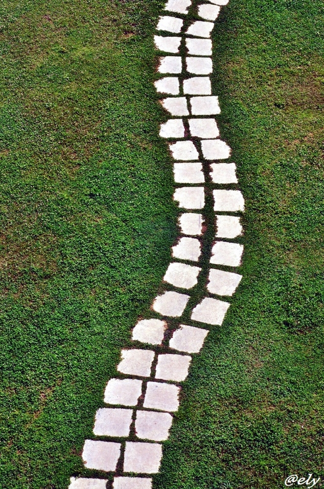 Segui la tua strada... Segui la tua strada...