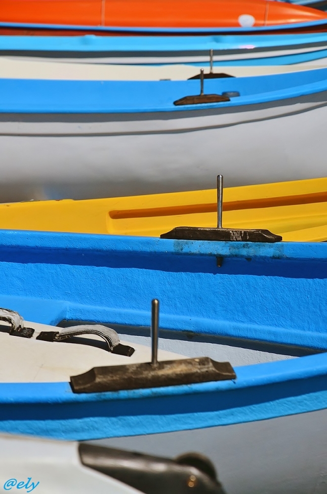 Colori Colori