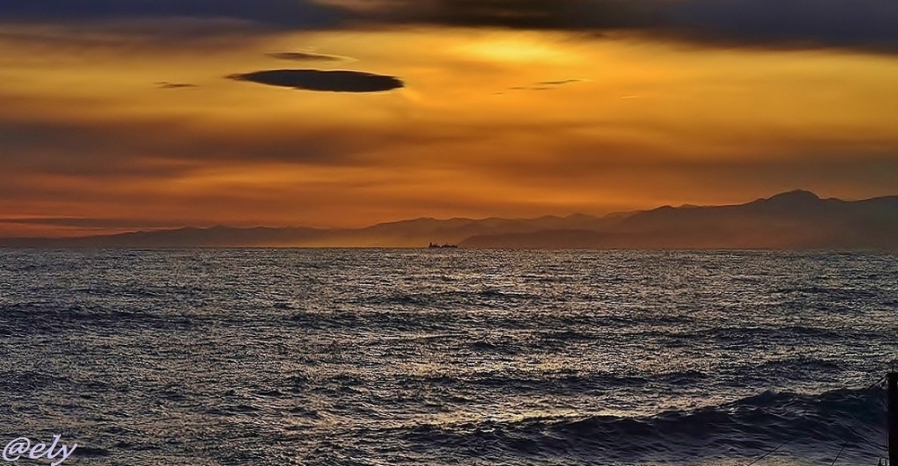 UFO? UFO?