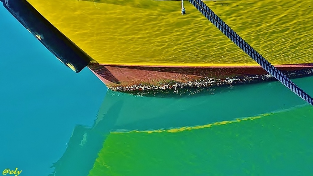 Giallo nel blu Giallo nel blu