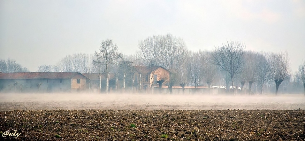 Quando la nebbia si dirada