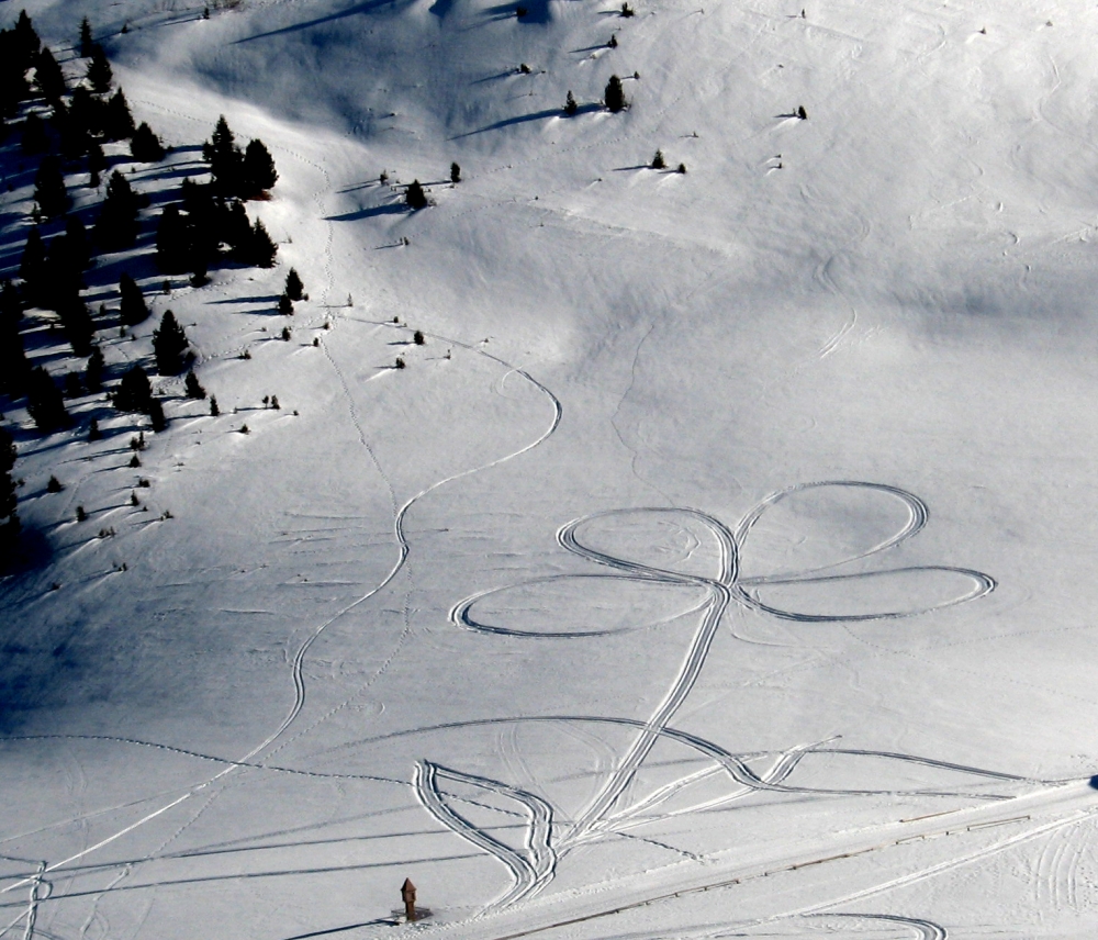 Disegni Disegni