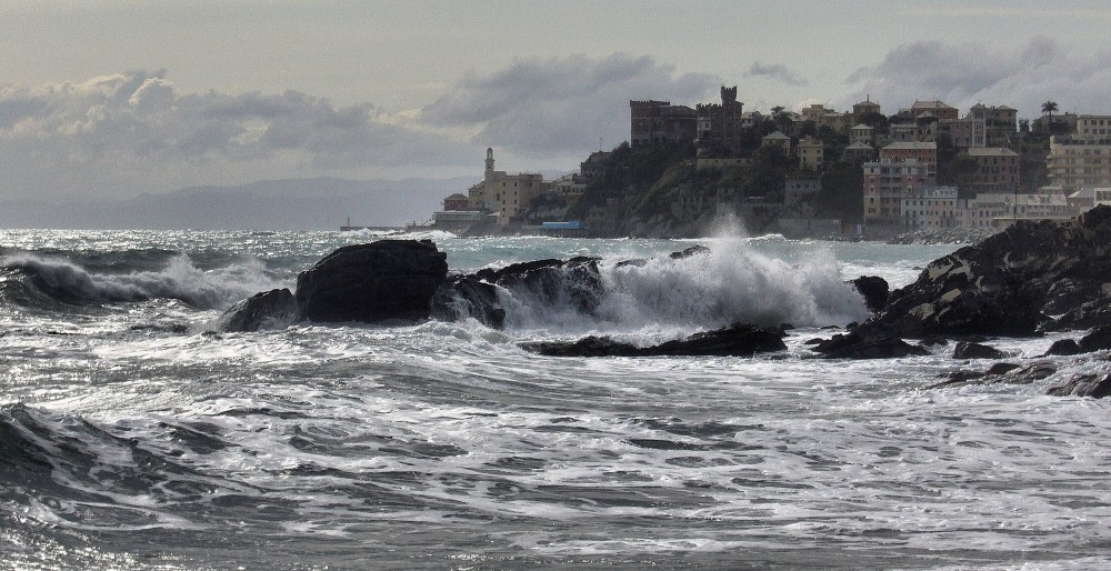 Genova Genova