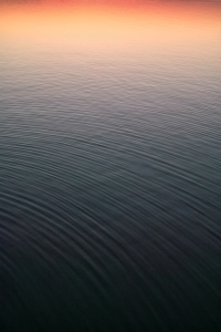 flickr