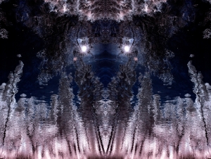 flickr