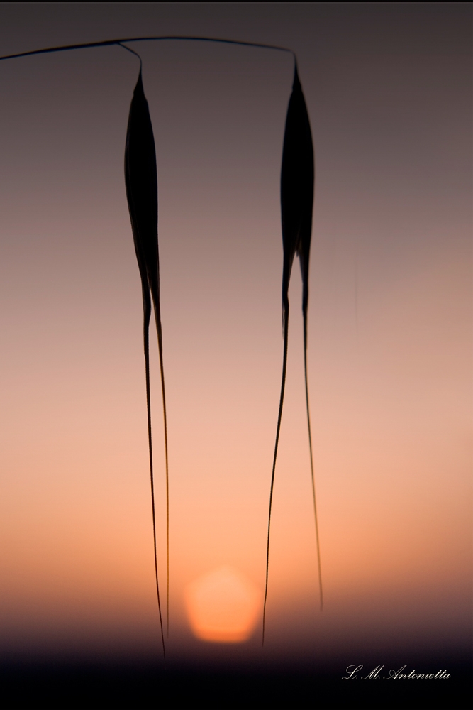 al tramonto al tramonto