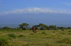 Alle falde del Kilimangiaro