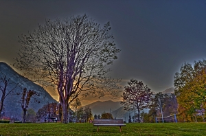 flickr