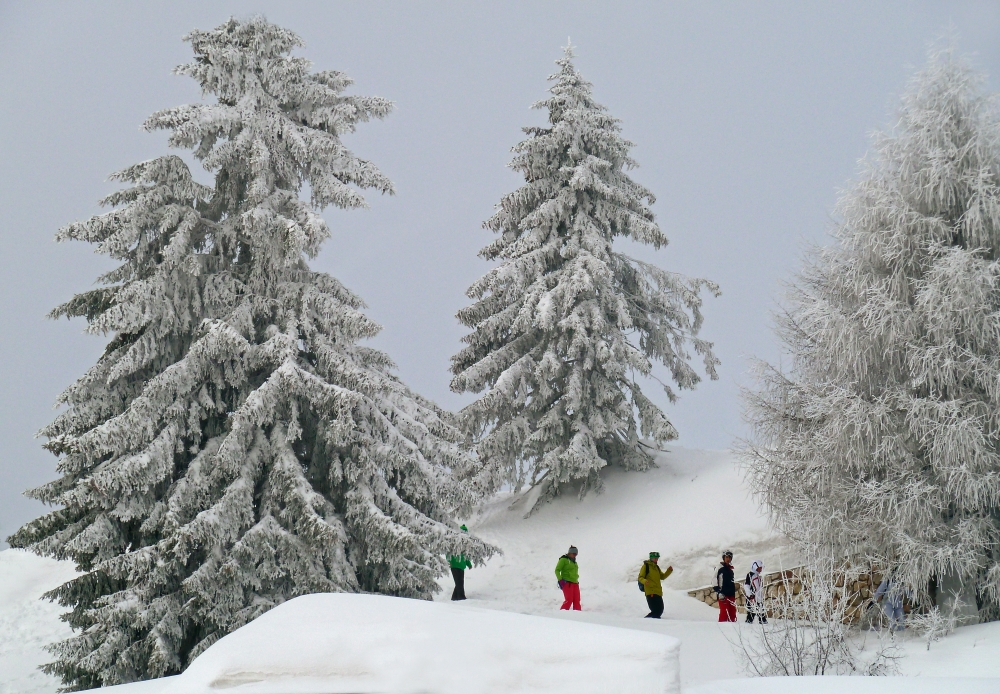 a spasso fra la neve a spasso fra la neve