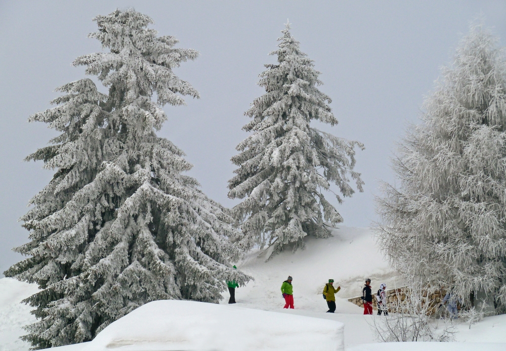 a spasso fra la neve