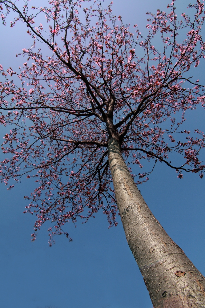 Lassu' è primavera