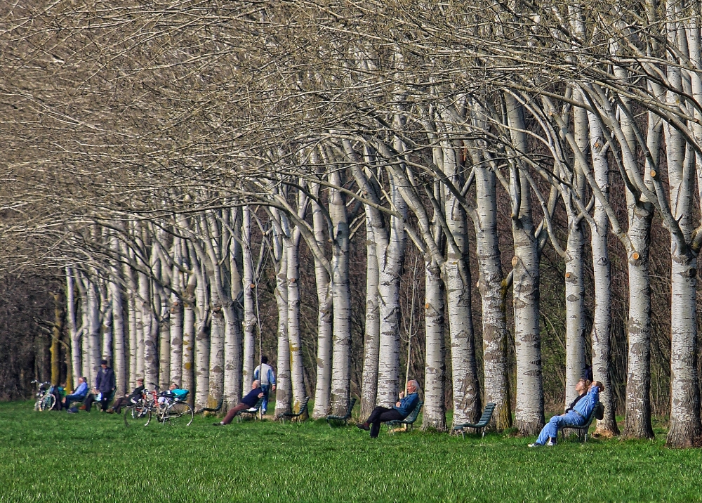 Tutti fuori