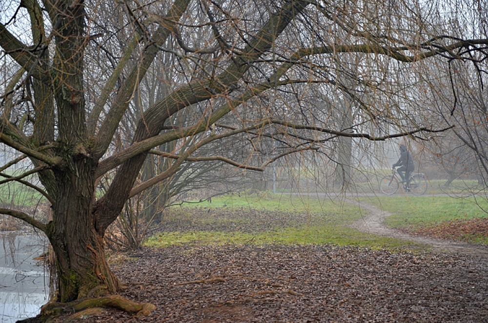 autunno.. autunno..