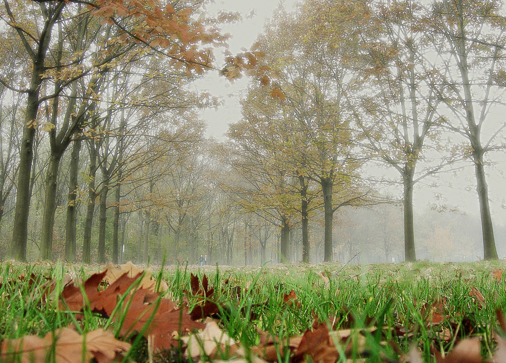 al parco nord al parco nord
