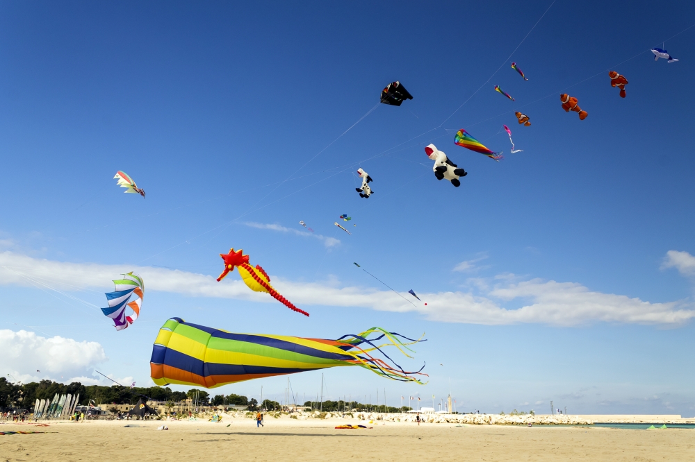 Let's fly the kites!