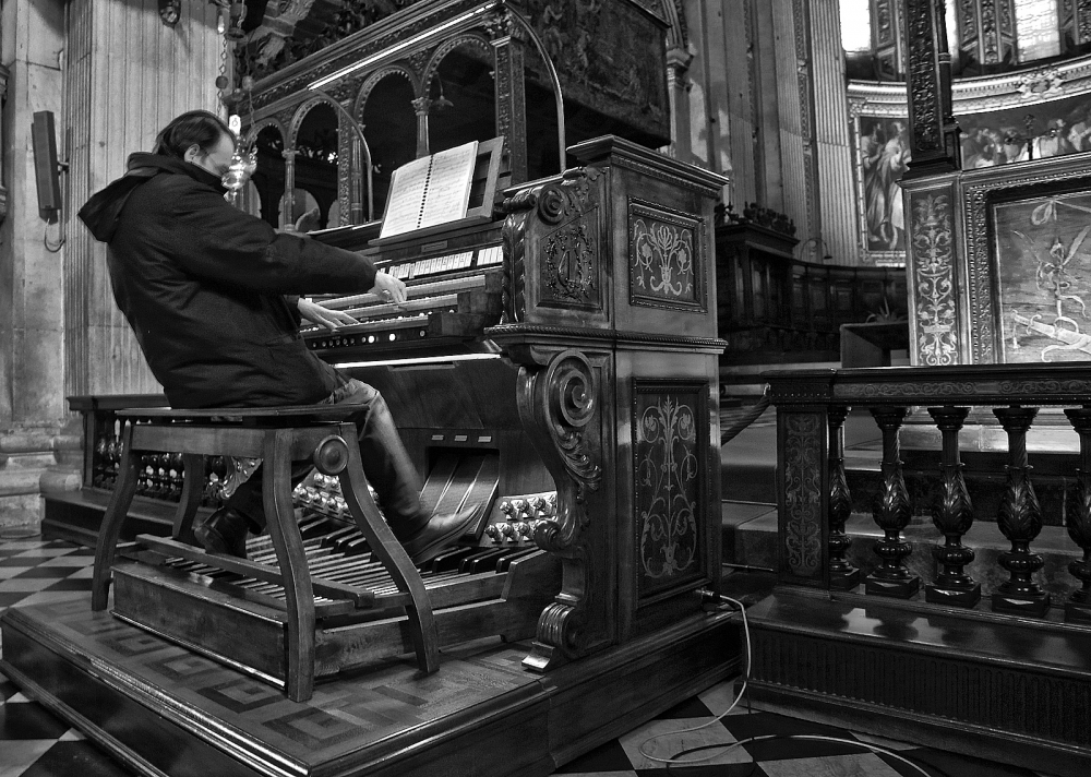 L'organista...