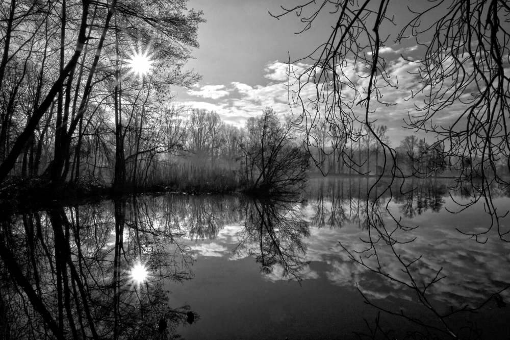 Riflessi in b&w Riflessi in b&w