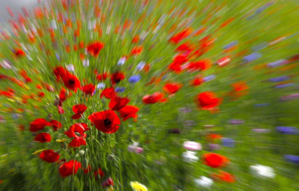 Zoomming colorato.. Zoomming colorato..