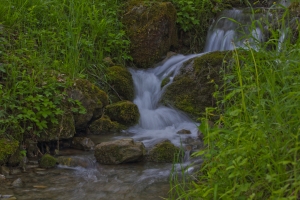 flickr