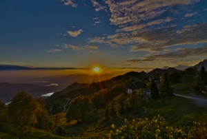 flickr