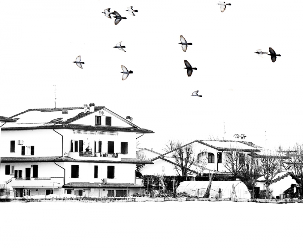 volo libero volo libero
