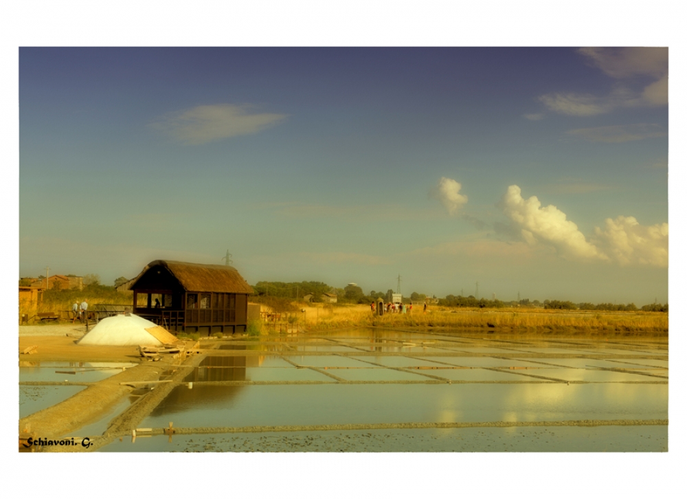 SALINE DI CERVIA