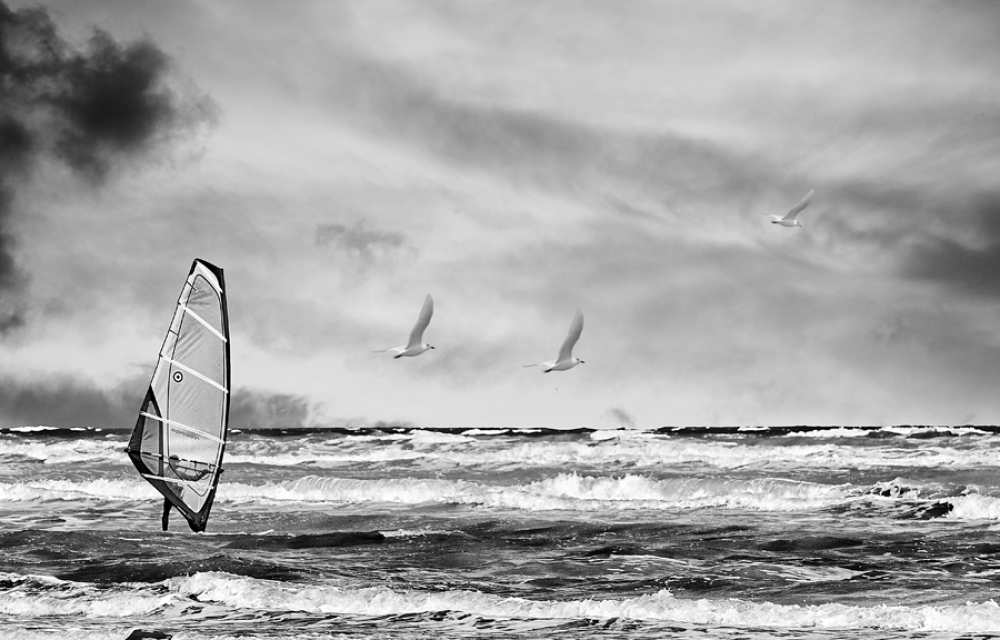 sea landscape... sea landscape...