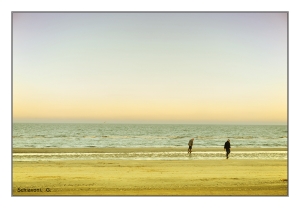 flickr