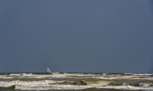 flickr