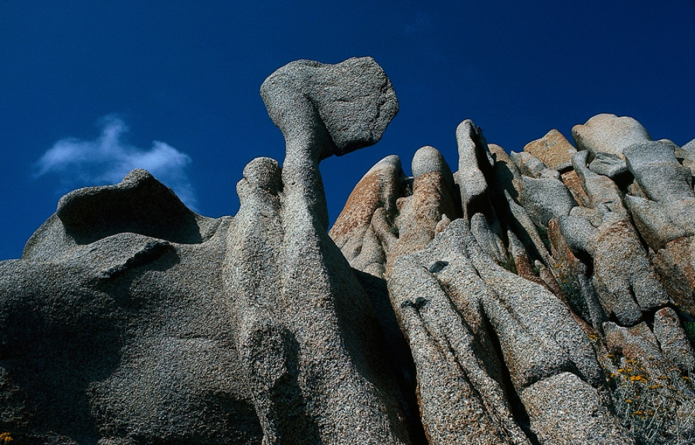 Sardegna