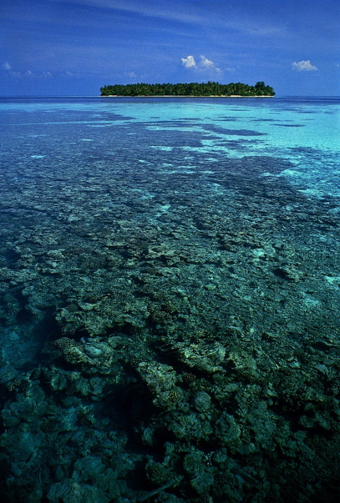 l'isola che c'è