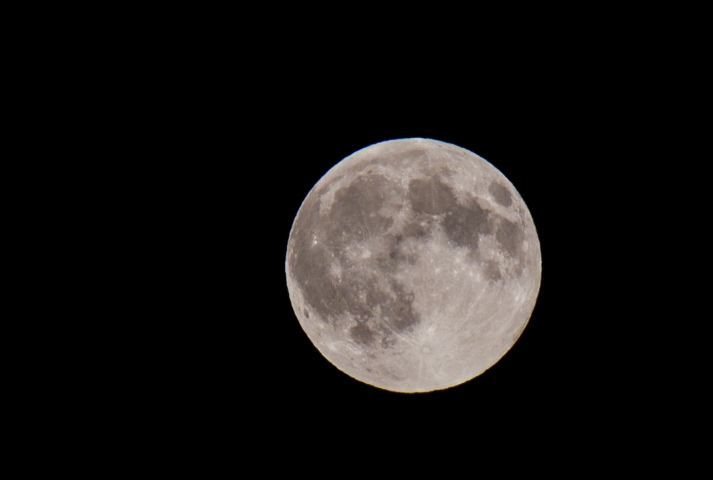Luna Luna
