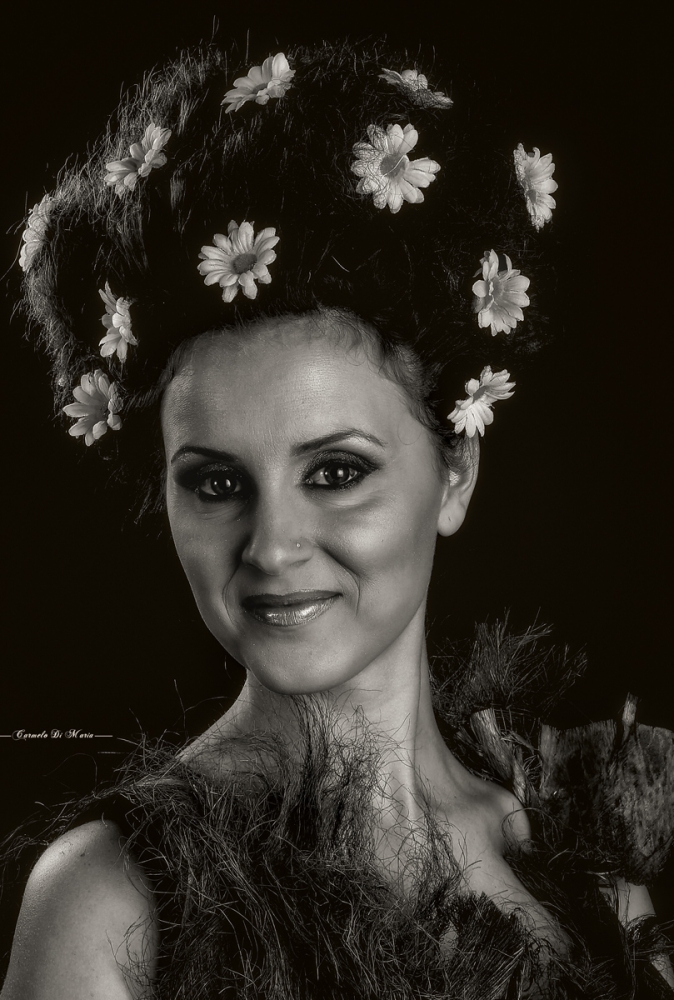 lady portrait lady portrait