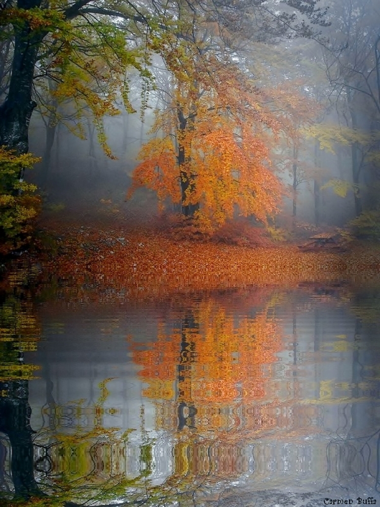 Reflet Reflet