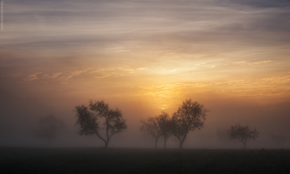 Sunrise in Sicily...