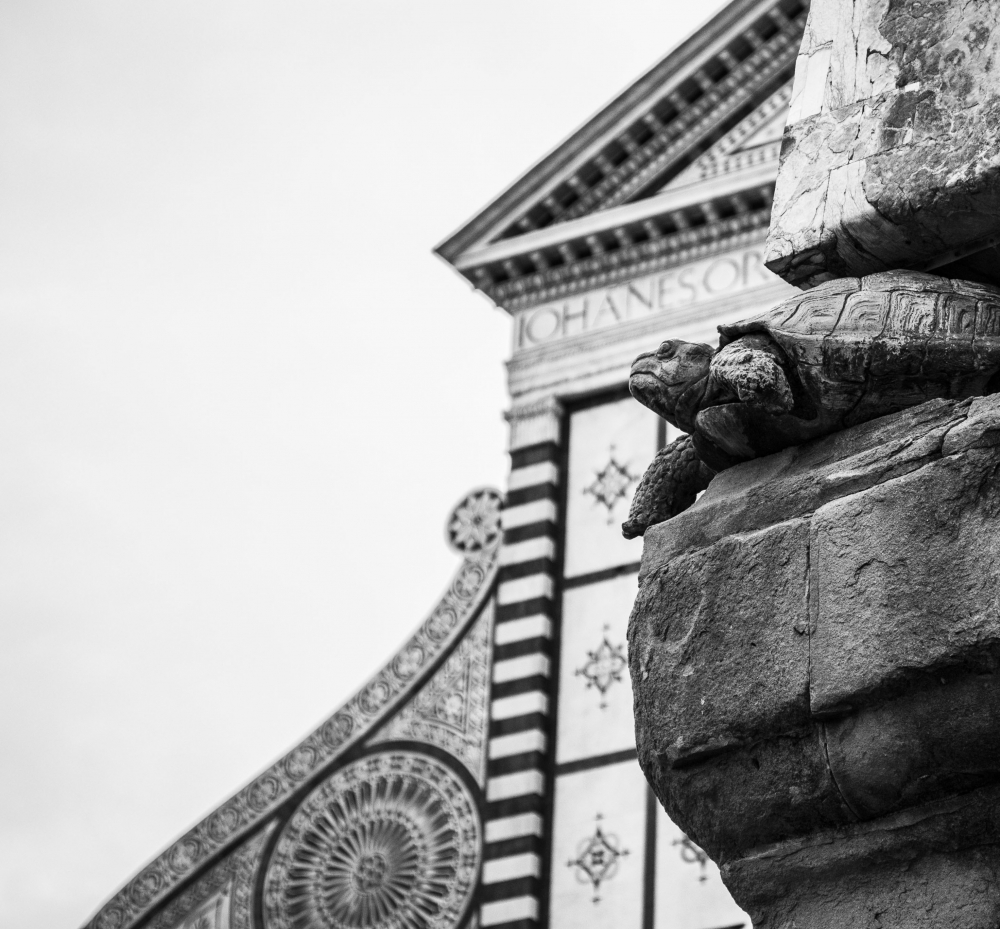 Firenze Firenze
