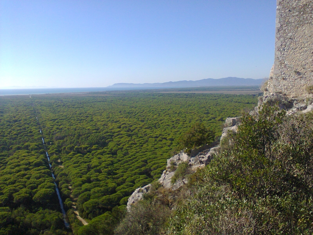 Parco dell'Uccellina