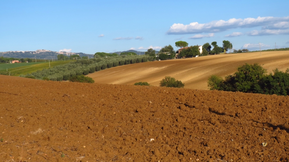 una foto semplice, della mia terra