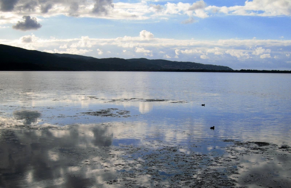Laguna Laguna