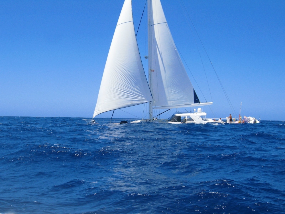 mistral mistral