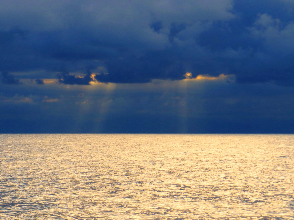 golden sea golden sea