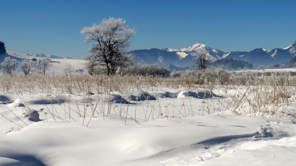 La' dove la neve è più bianca