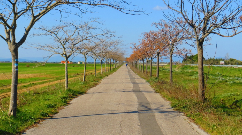 gita in bici