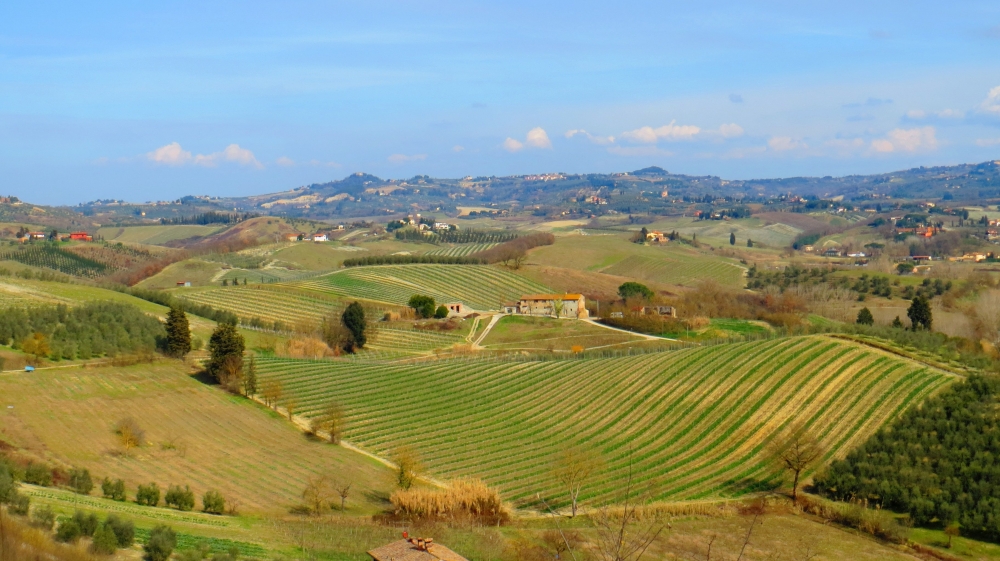 La sinuosa terra senese La sinuosa terra senese