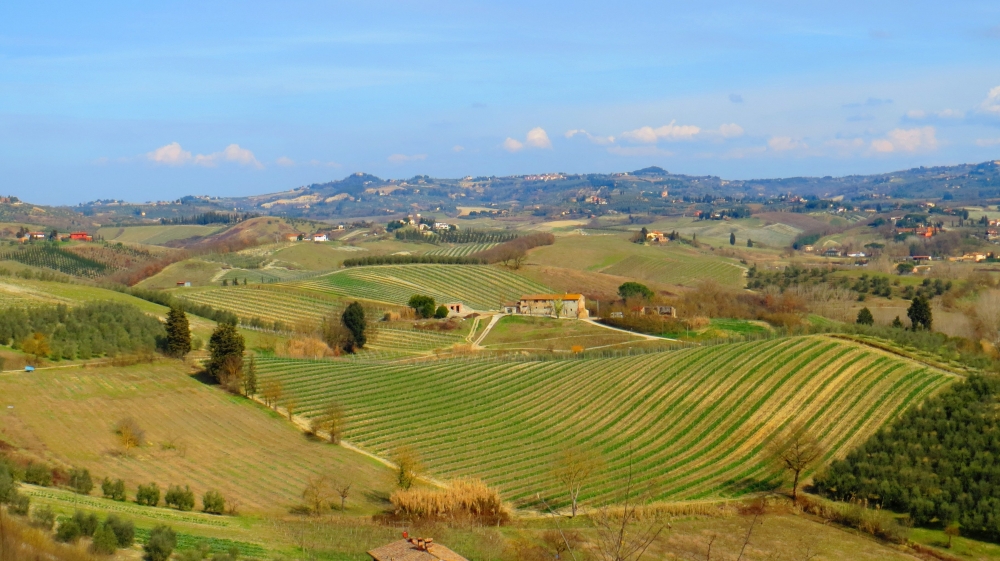 La sinuosa terra senese