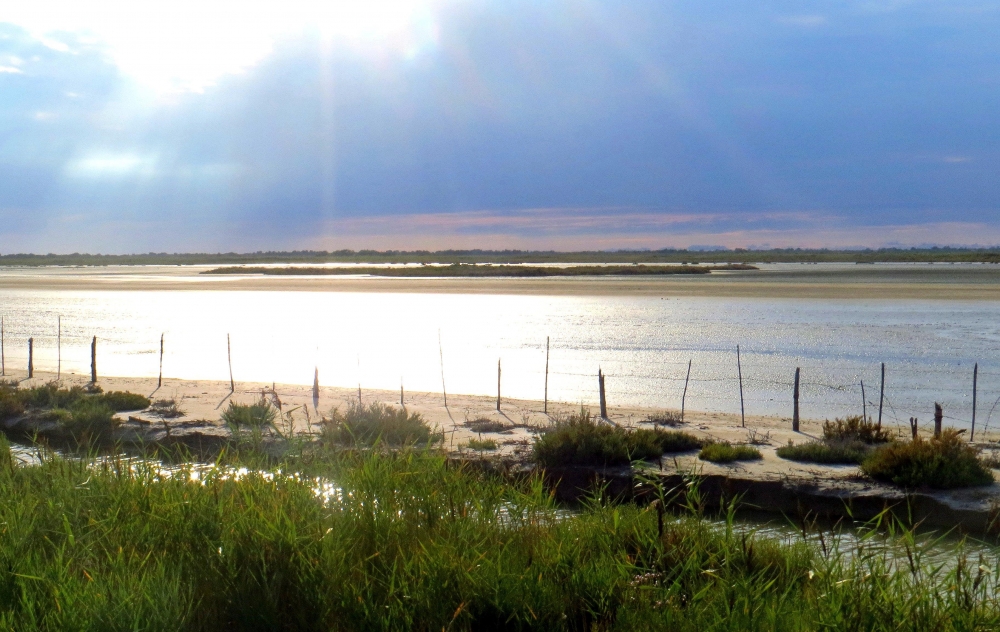 Magica Camargue Magica Camargue